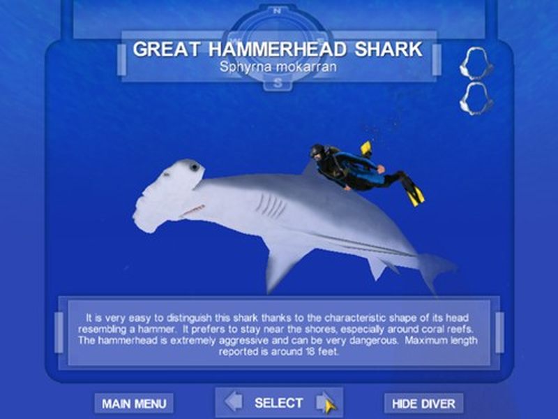 Free yahoo games typer shark