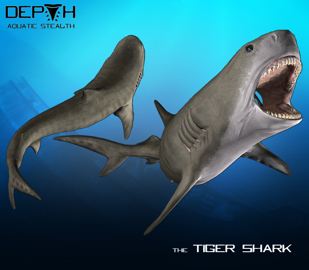 Tiger Shark (Depth), VS Battles Wiki