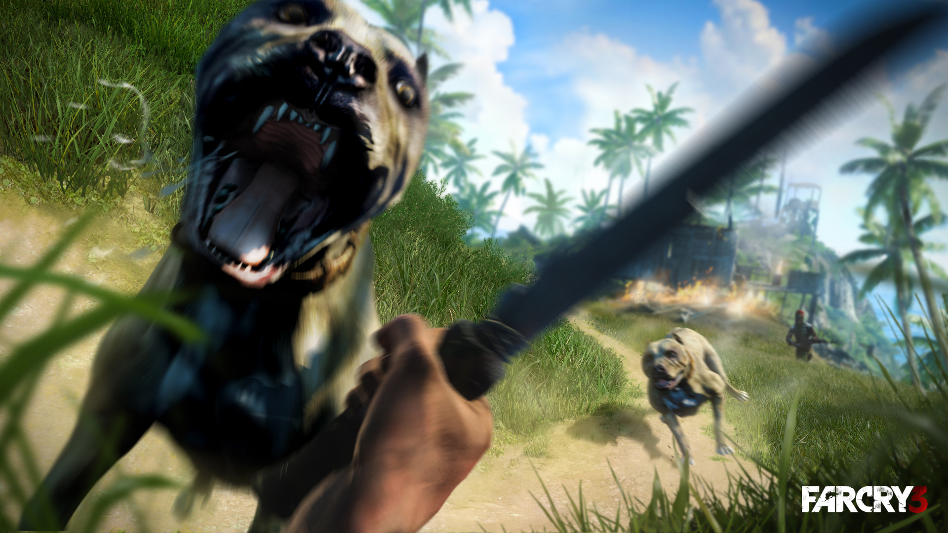 In-game image - Far Cry 3 - Mod DB