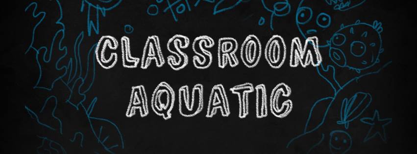 class room aquatic free play