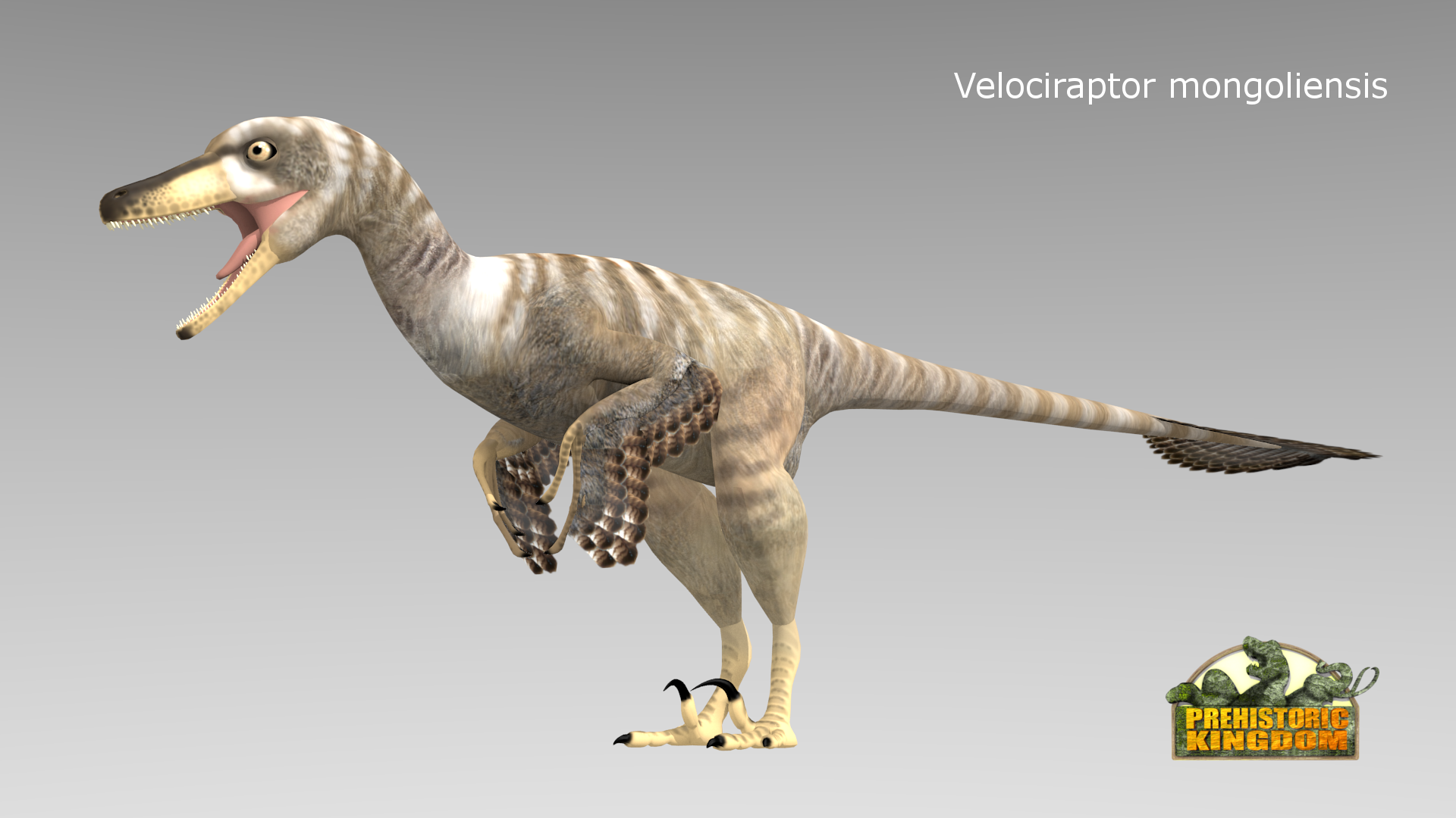 velociraptor had feathers