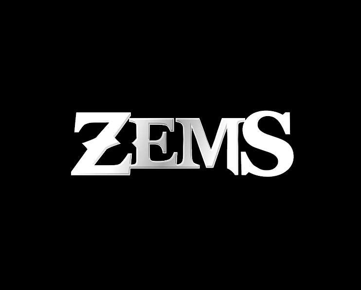 Zems pro стоимость проекта