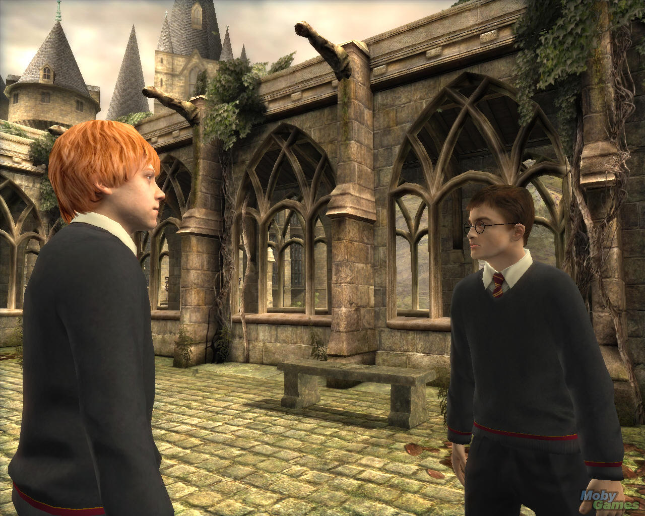 harry potter order of the phoenix (wii)