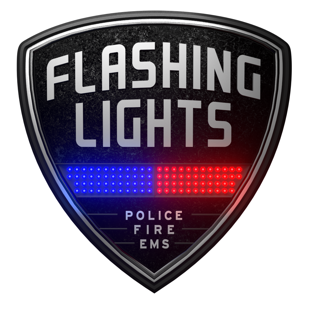 Flashing Lights: Police - Fire - EMS Windows, Mac game ...