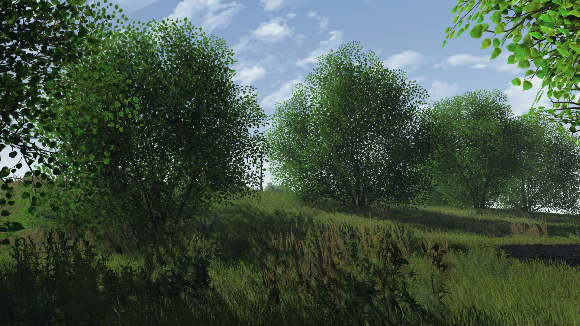 Crops 3d