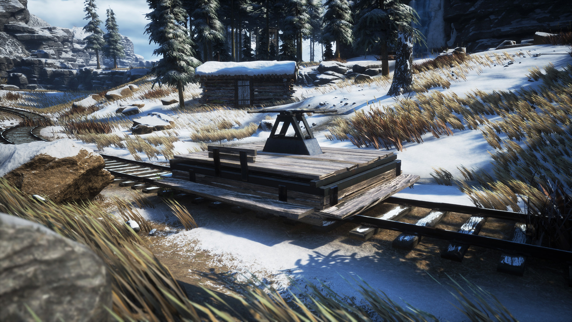 Winter survival early access