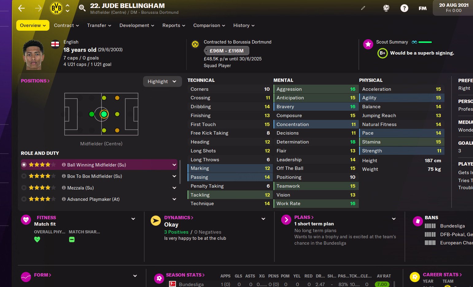 football manager 2022 skin