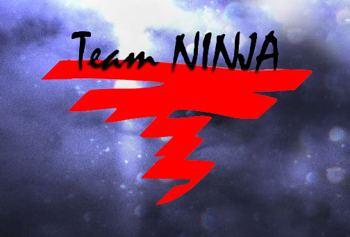 Team ninja проекты