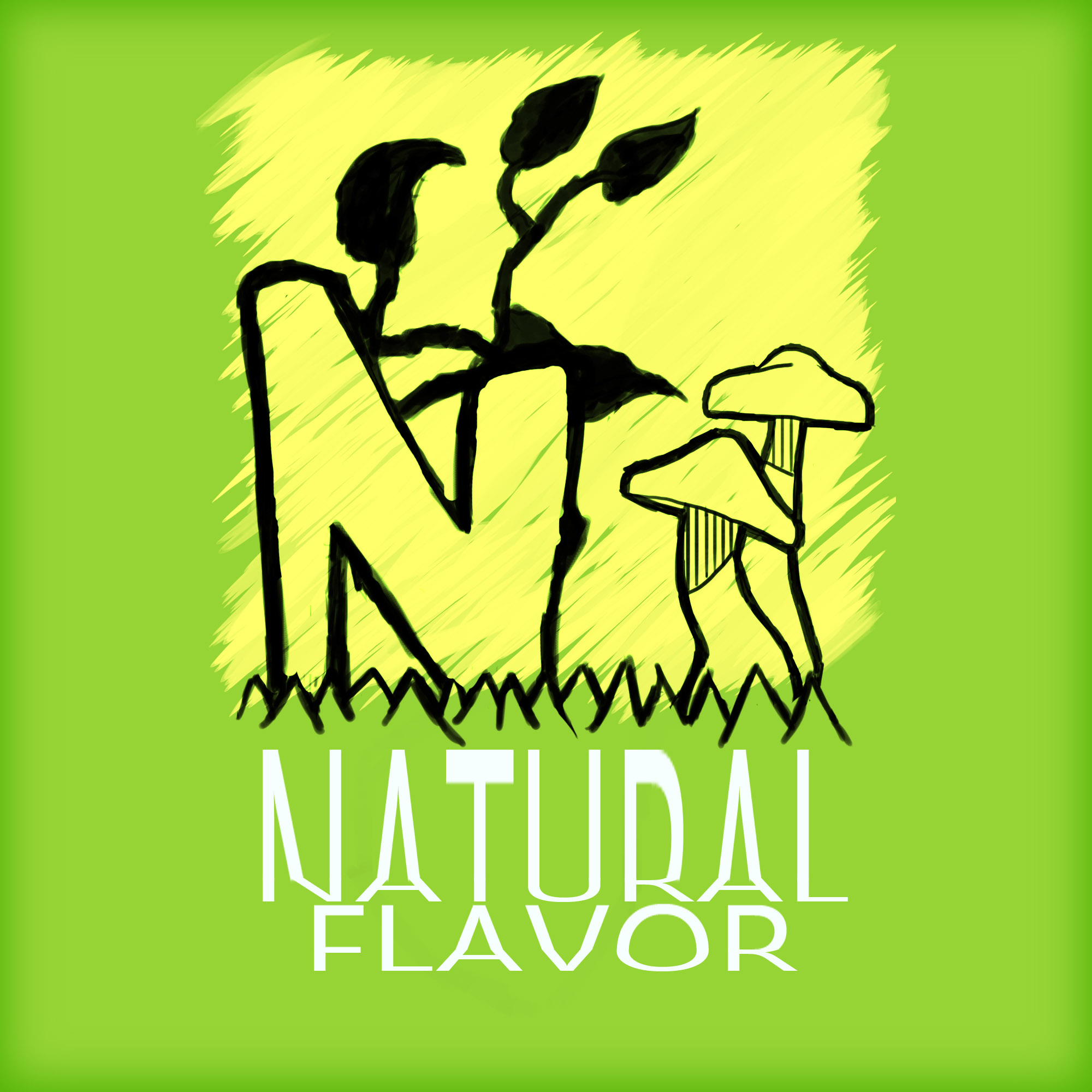 natural-flavor-company-moddb