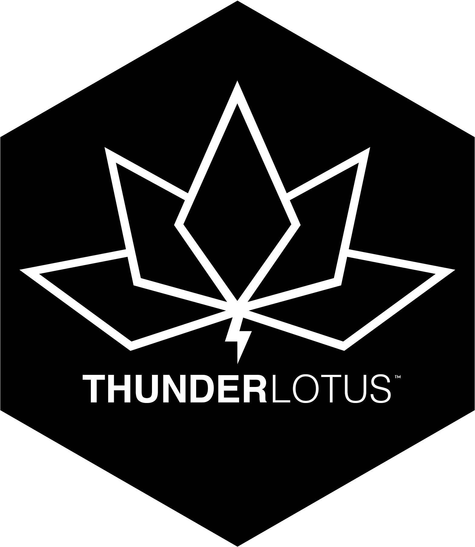 Кс го лотос. Thunder Lotus. Thunder Lotus games. Гром лого. Громов логотип.