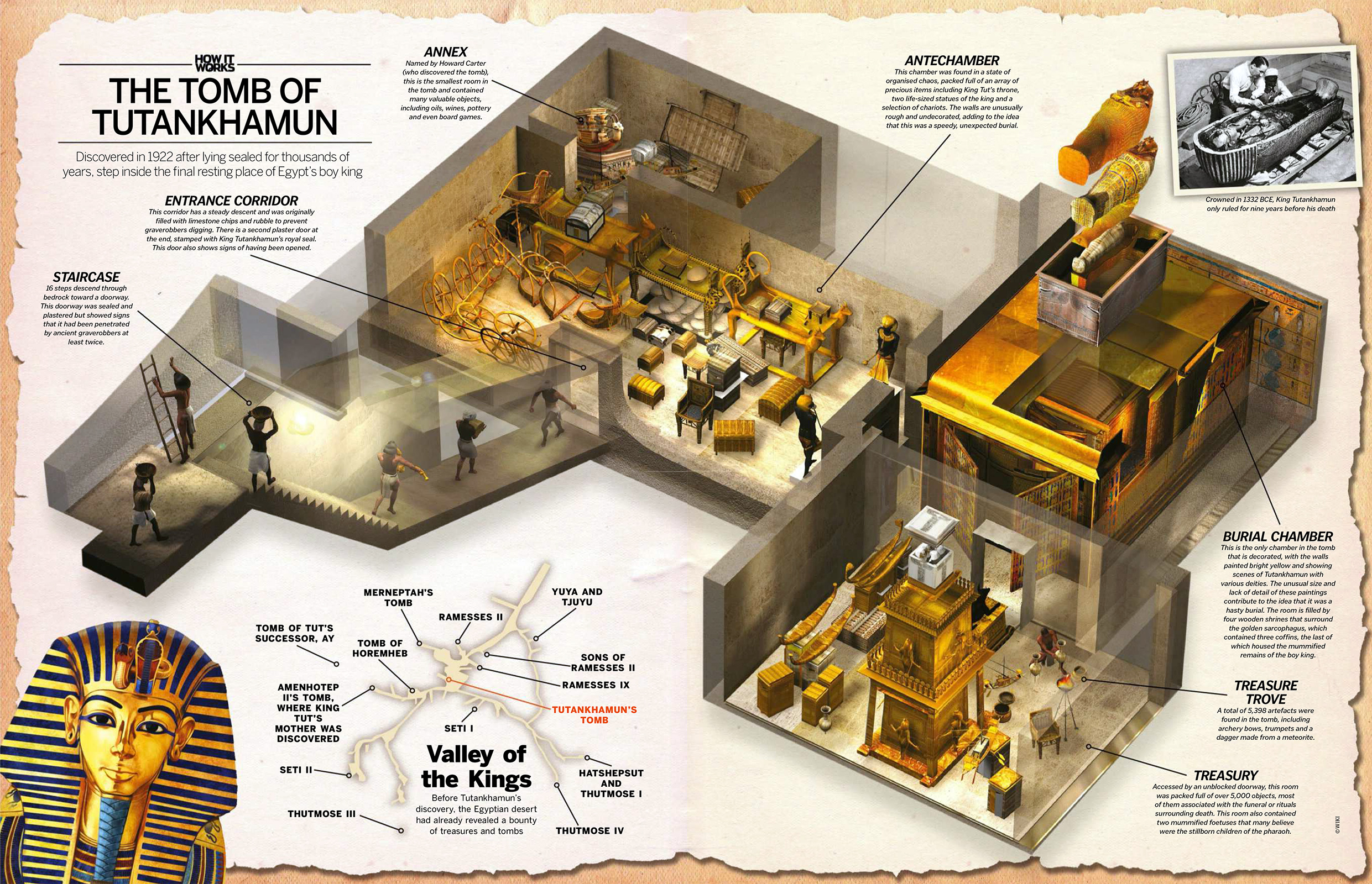 Map Of King Tut S Tomb - vrogue.co