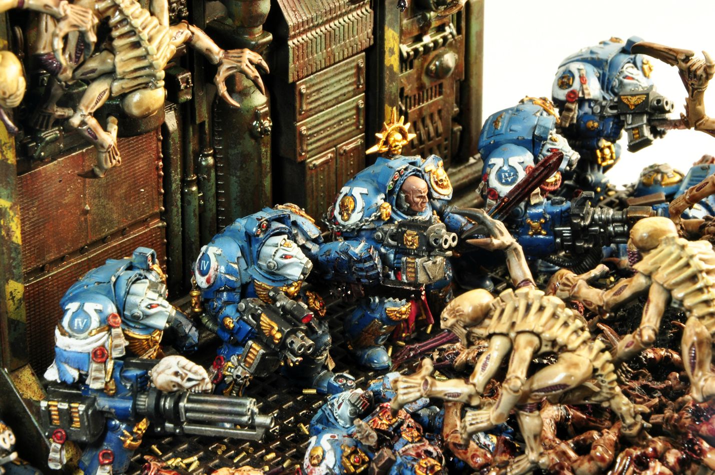 Warhammer 40 k Miniatures Diorama