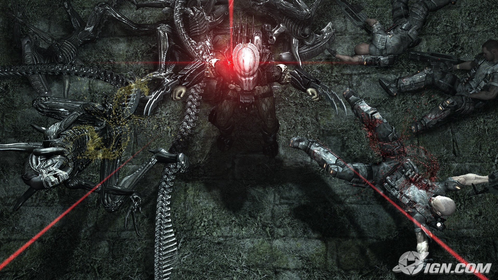 ggfgfd image - Aliens vs Predator 3 Lover's - Mod DB