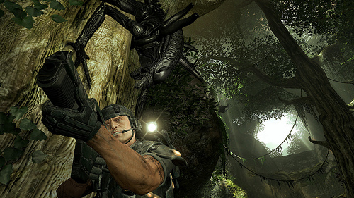 AvP3.. image - Aliens vs Predator Source - Mod DB