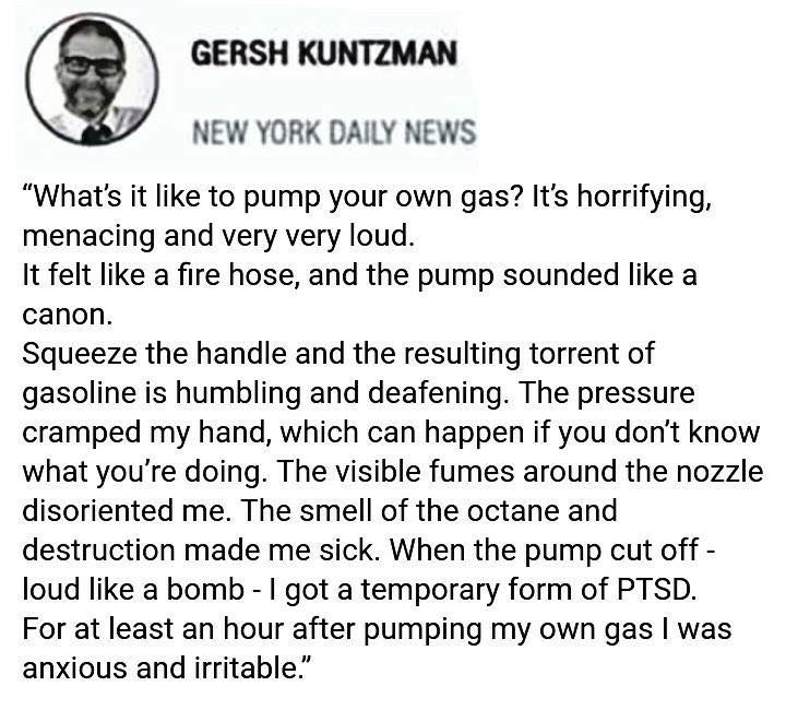 Gersh Kuntzman be like  Jokes quotes, Funny, Funny texts