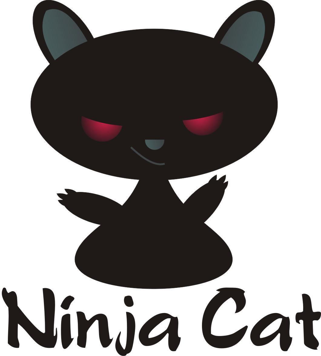 Ninja cat