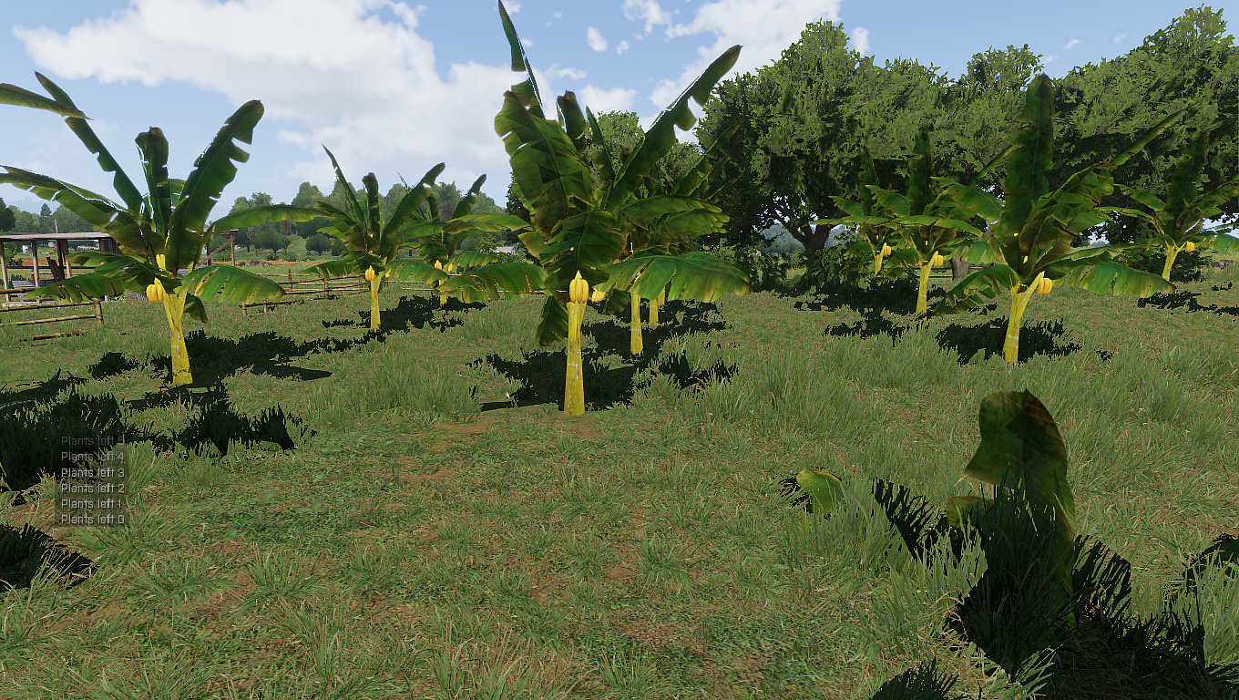 Banana Tree / FS22 mod for all platforms 