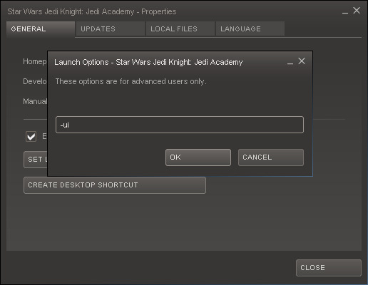 Steam Launch Options