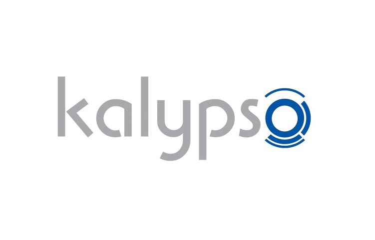 Kalypso media проекты