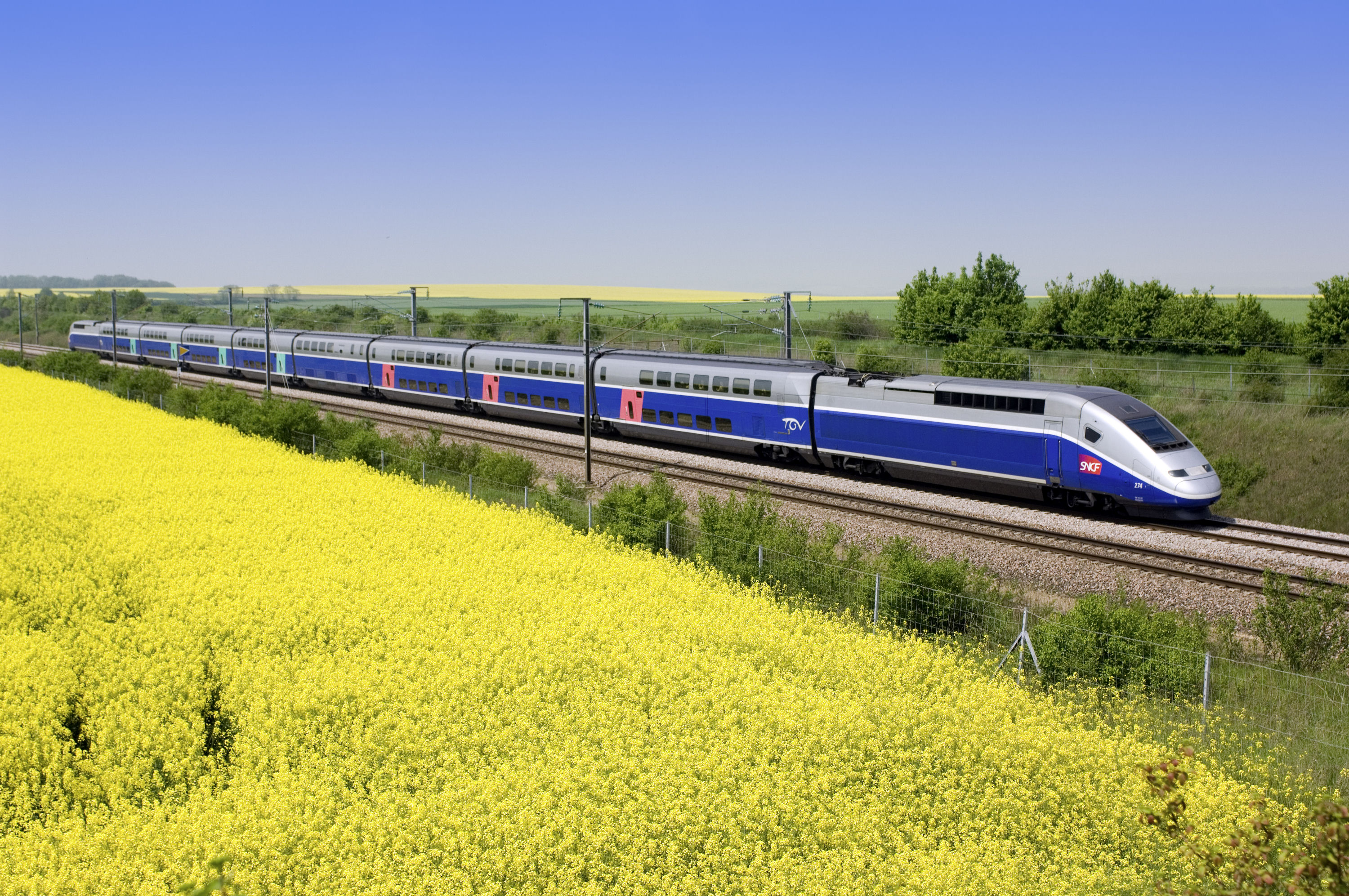 Железные дороги бывают. Скоростной поезд TGV Франция. Французский поезд TGV. Поезд TGV Франция. ТГВ поезда Франция.