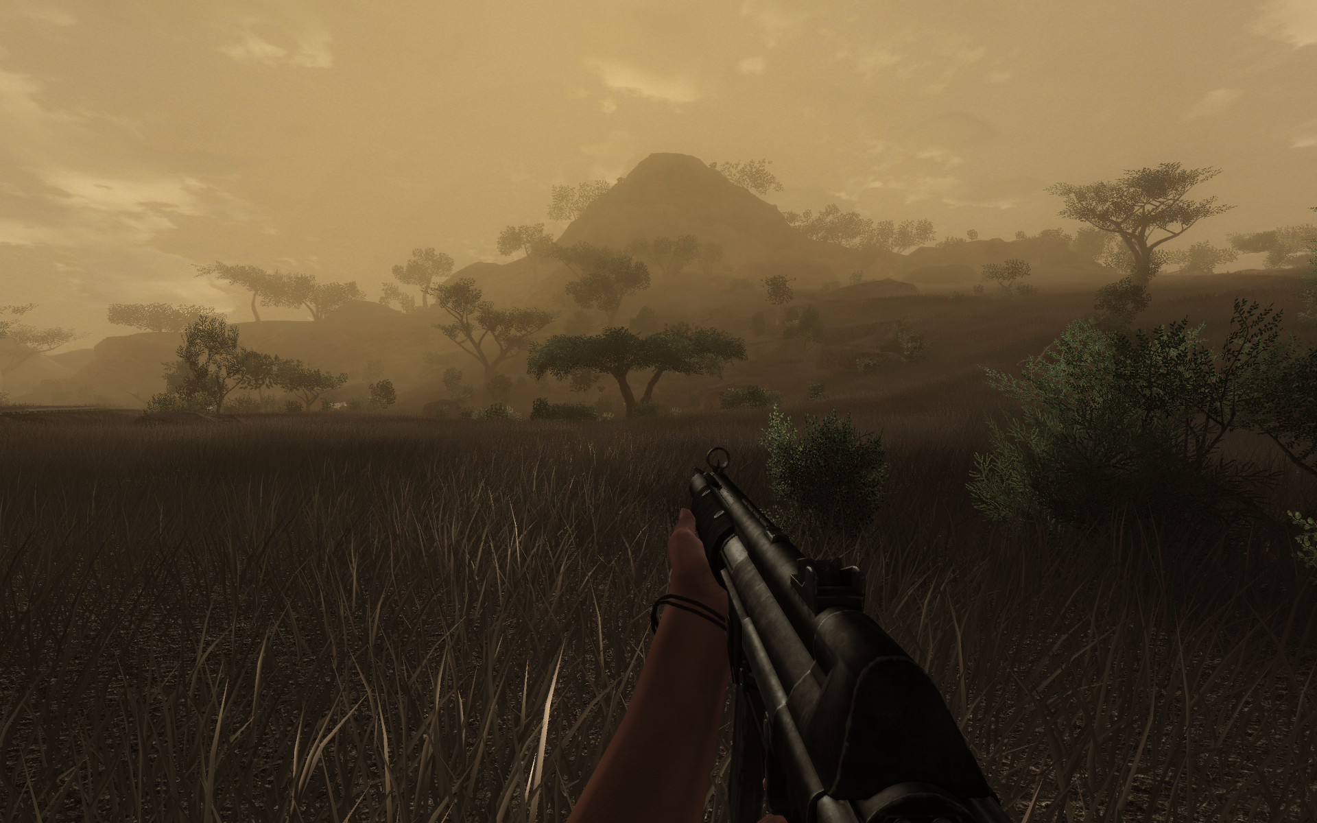 Have You Played Far Cry 2?