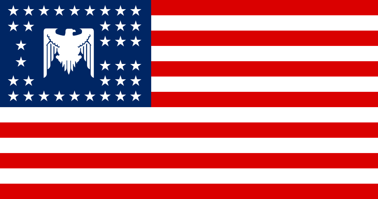 US flag 2020s