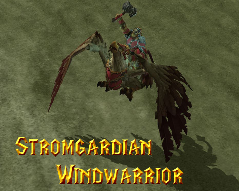 Stromgardian Windwarrior