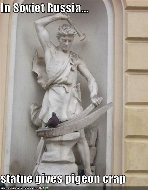 funny-pictures-statue-attacks-pidgeon-russia.jpg