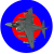 Harrier_Jumpjet