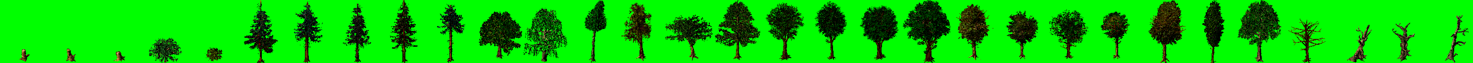 Vanille tree texture example.