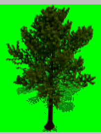 Placed Tree