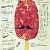 Meat-Popsicle