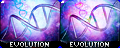 which evolutions