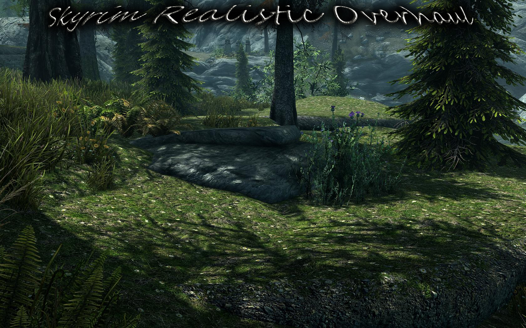 skyrim realistic overhaul vs noble skyrim