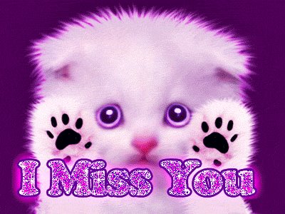 kitty miss you