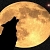 Nightwolf117