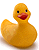 Duck500