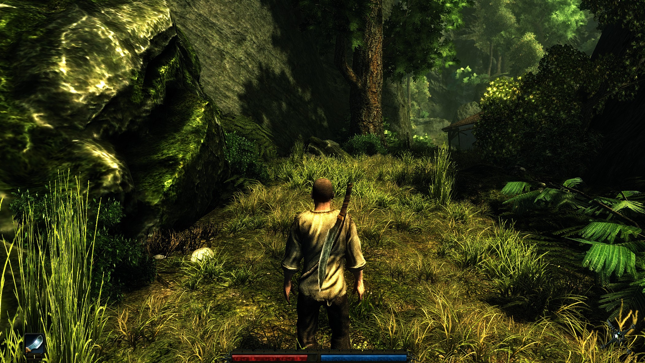 Risen instal the new version for android