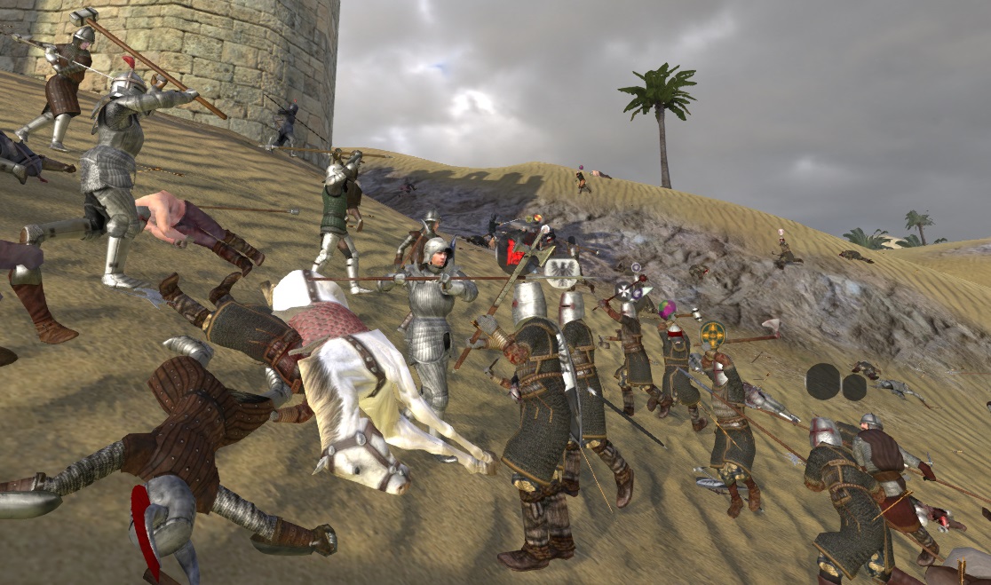 Mount and blade coop