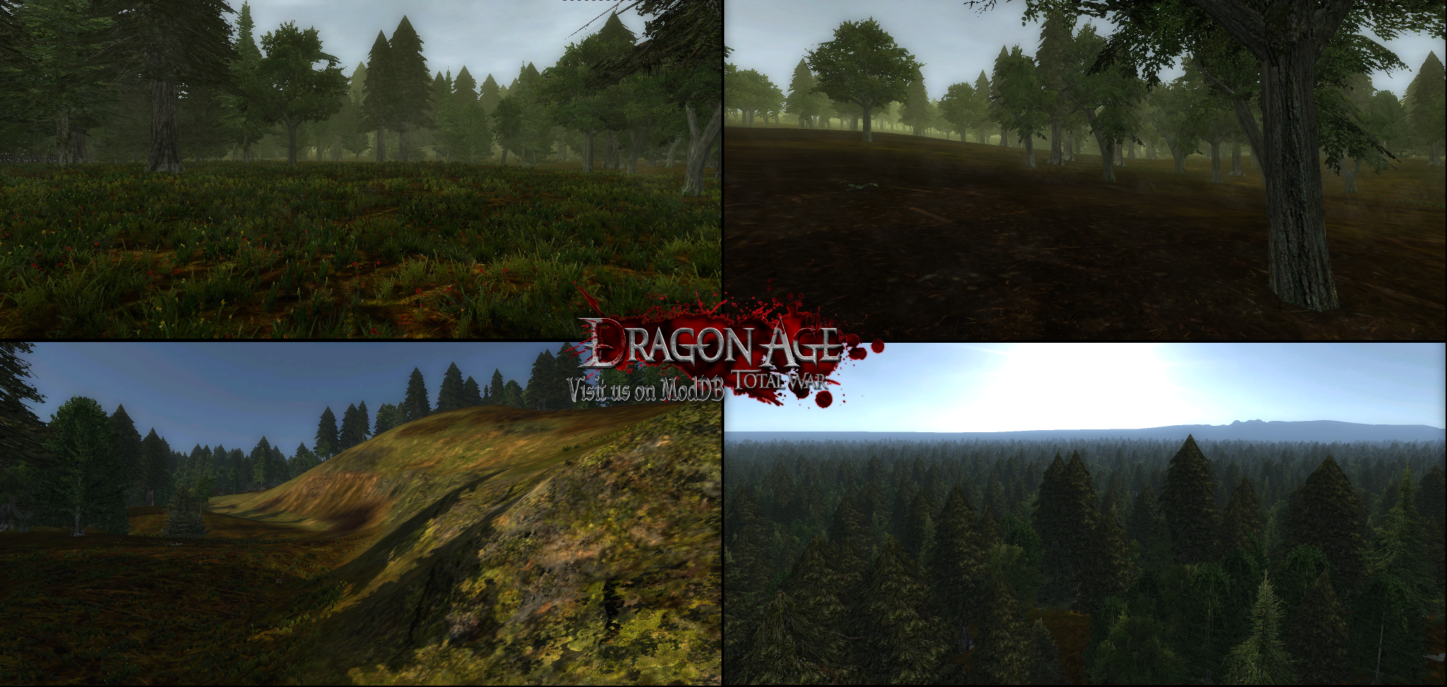 Skyrim' Meets 'Dragon Age' With These Mods