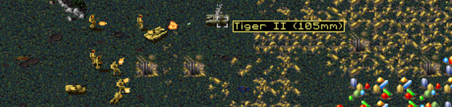 tiger2