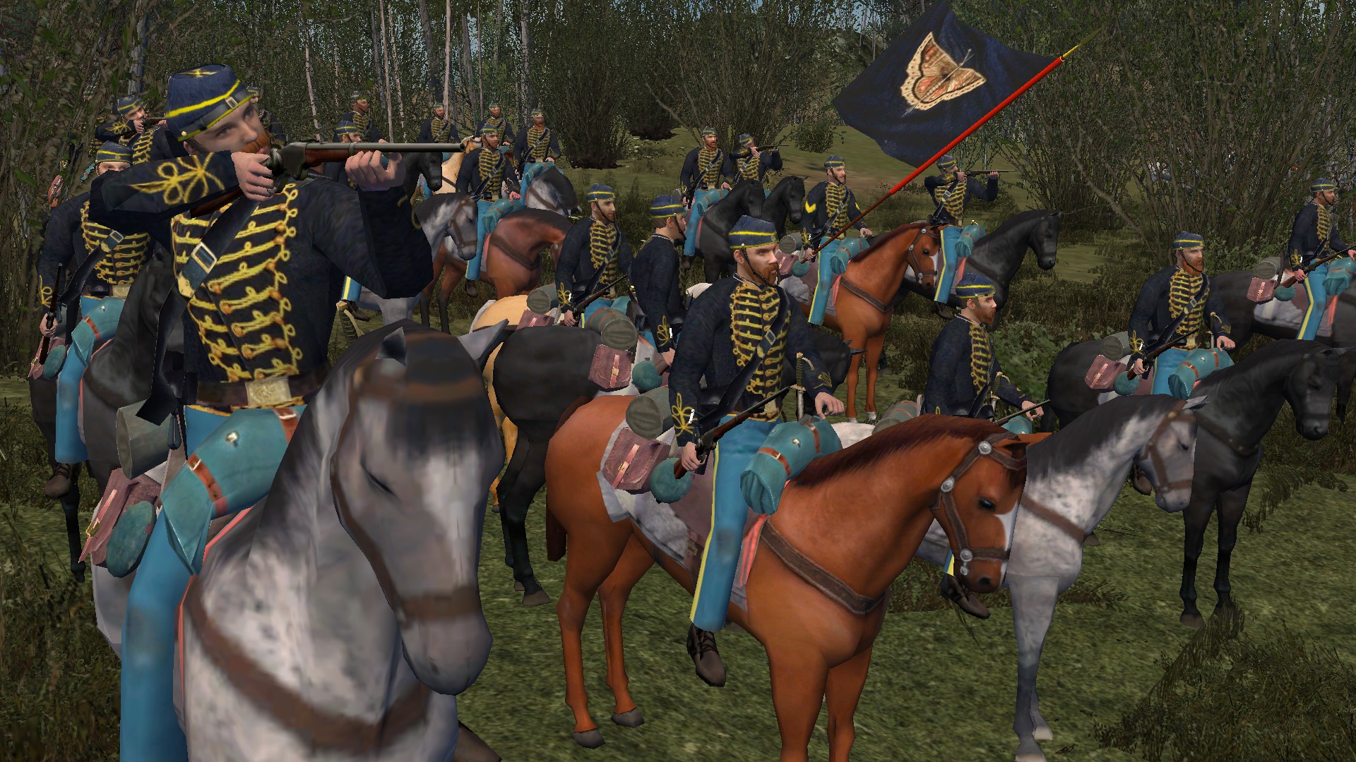 butterfly hussars