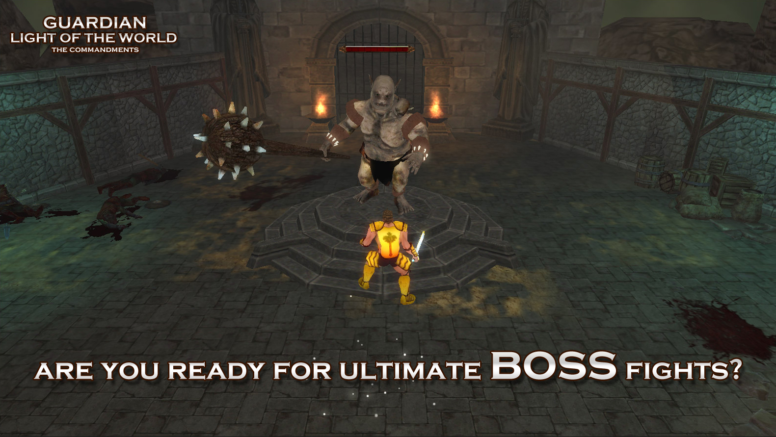 Guardian Facing Boss Monster in one of the Game Levels