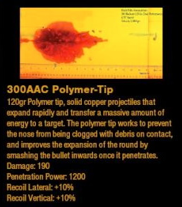 300 Blackout Polymer Tip