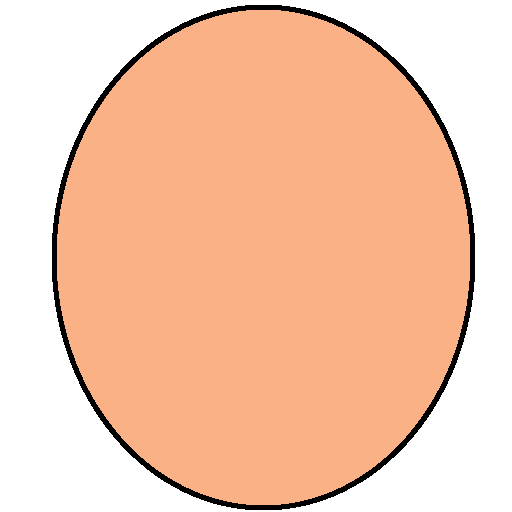 egg 5 512
