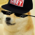 Donnie_teh_Doge