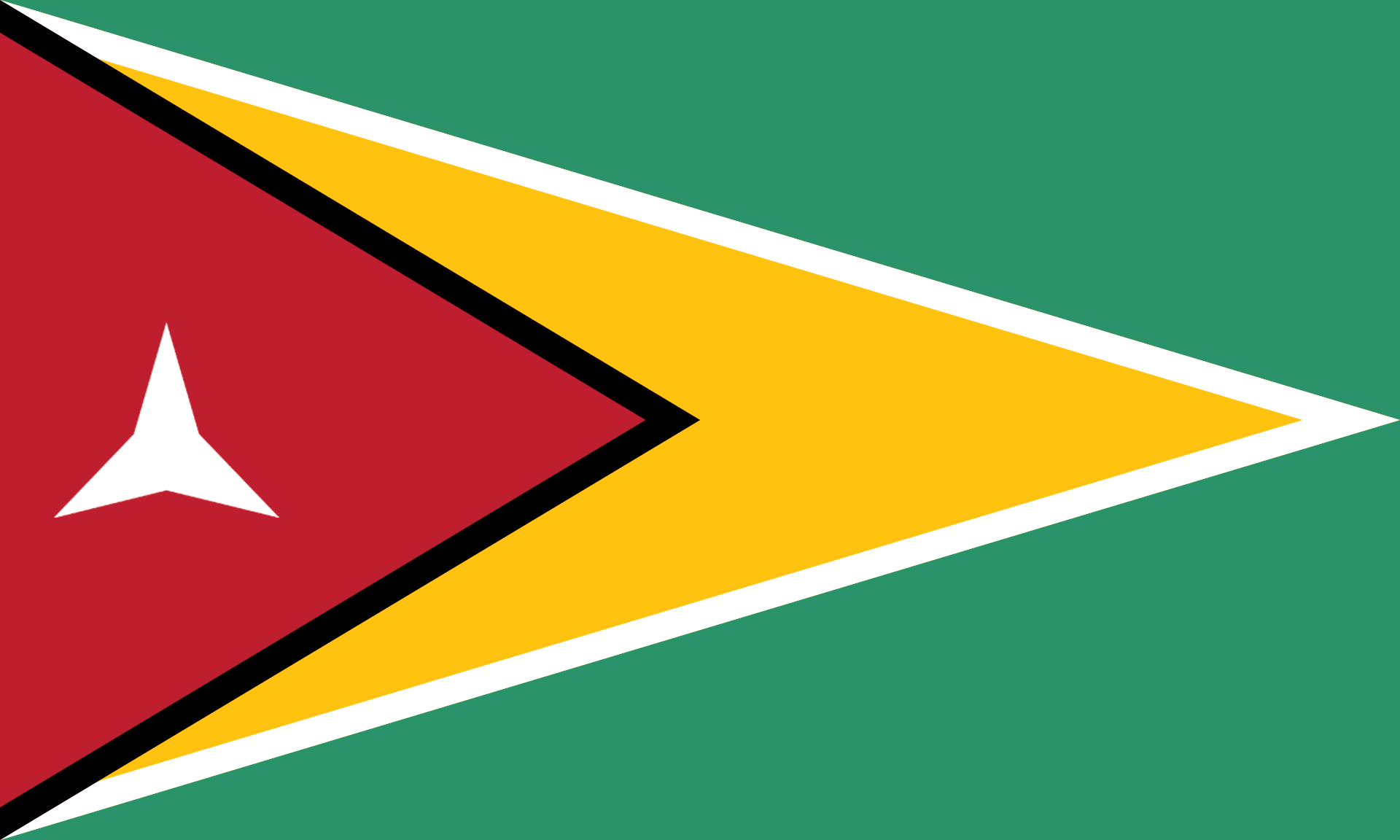 Flag of Guyana svg