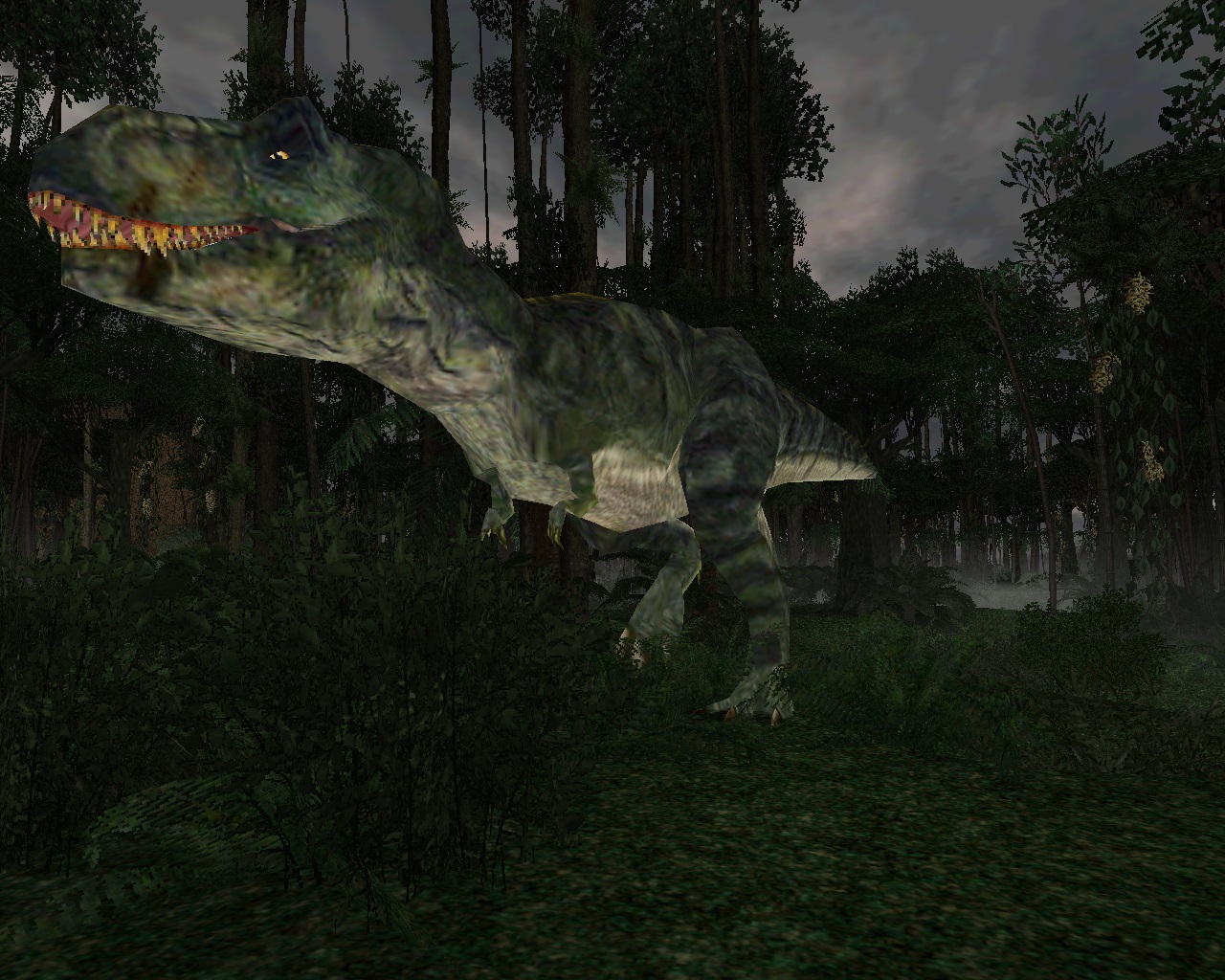 male tyrannosaurus