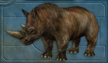 Woolly Rhino
