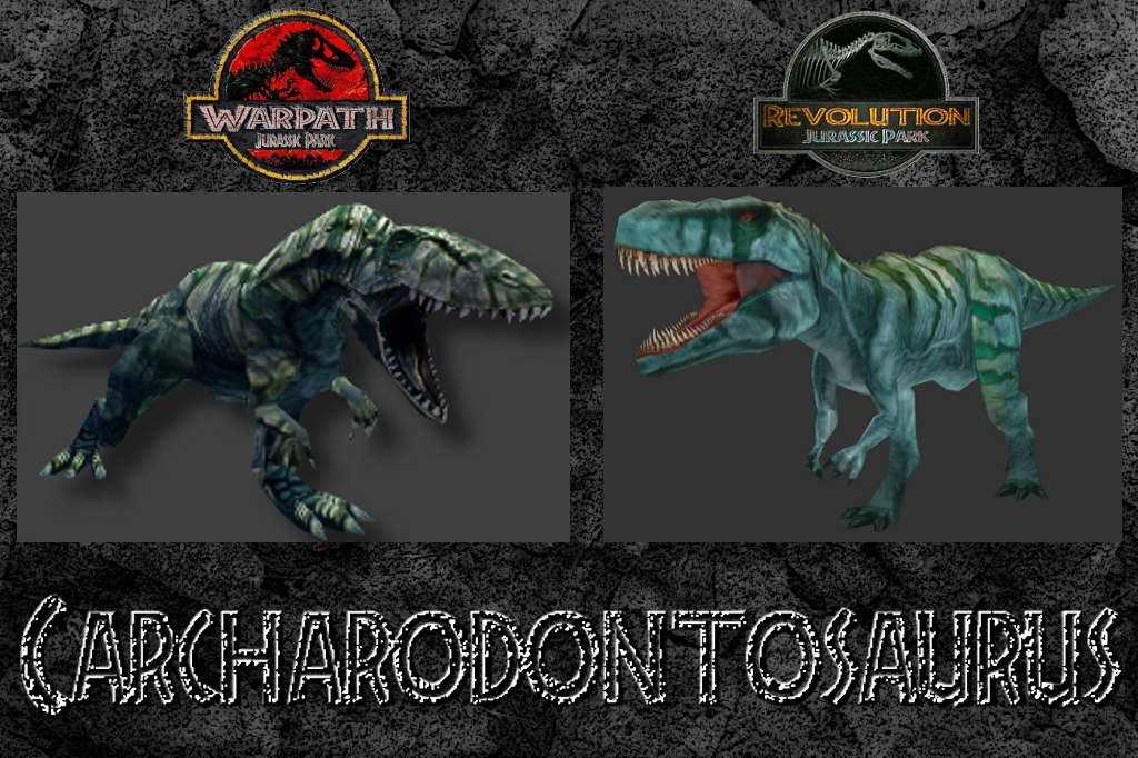 Carcharodontosaurus comparison